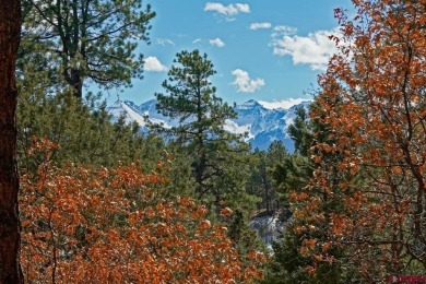 Todd R Schroedel, United Country Sneffels Realty, C: , todd,  : on The Divide Ranch and Club in Colorado - for sale on GolfHomes.com, golf home, golf lot