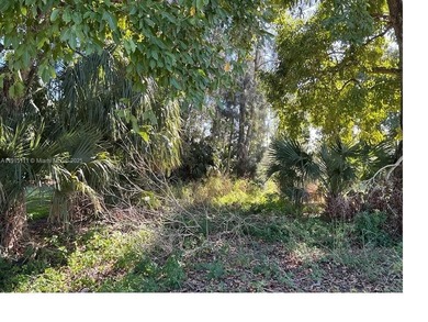 Great opportunity to own a residential vacant lot in a peaceful on Clewiston Golf Course in Florida - for sale on GolfHomes.com, golf home, golf lot