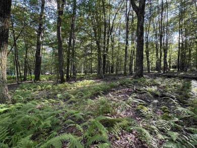 Your Slice of Almost Heaven - Double Lot in Alpine Lake Resort! on Alpine Lake Resort in West Virginia - for sale on GolfHomes.com, golf home, golf lot