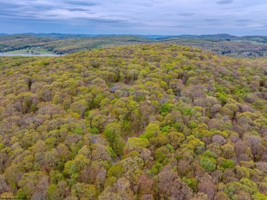 Your Slice of Almost Heaven - Double Lot in Alpine Lake Resort! on Alpine Lake Resort in West Virginia - for sale on GolfHomes.com, golf home, golf lot