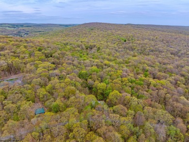 Your Slice of Almost Heaven - Double Lot in Alpine Lake Resort! on Alpine Lake Resort in West Virginia - for sale on GolfHomes.com, golf home, golf lot