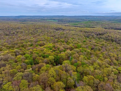 Your Slice of Almost Heaven - Double Lot in Alpine Lake Resort! on Alpine Lake Resort in West Virginia - for sale on GolfHomes.com, golf home, golf lot