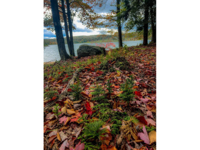 Your Slice of Almost Heaven - Double Lot in Alpine Lake Resort! on Alpine Lake Resort in West Virginia - for sale on GolfHomes.com, golf home, golf lot