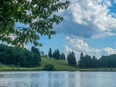 Your Slice of Almost Heaven - Double Lot in Alpine Lake Resort! on Alpine Lake Resort in West Virginia - for sale on GolfHomes.com, golf home, golf lot
