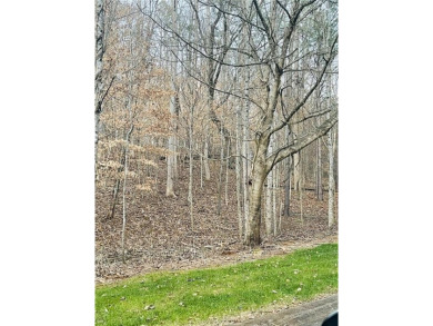 One of the last lots on the ridge in the most private part of on Hawks Ridge Golf Club in Georgia - for sale on GolfHomes.com, golf home, golf lot