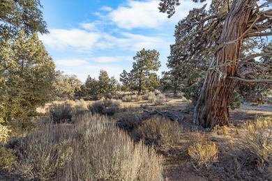 Welcome to Juniper Preserve, your golf and wellness sanctuary on The Club At Pronghorn Golf Course in Oregon - for sale on GolfHomes.com, golf home, golf lot
