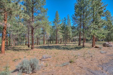 Truly one of the finest lots to build your custom residence on Aspen Lakes Golf Course in Oregon - for sale on GolfHomes.com, golf home, golf lot