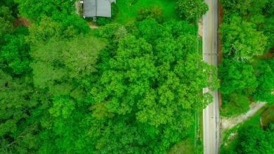 With over a half acre of beautiful forest, this lot offers the on  in Tennessee - for sale on GolfHomes.com, golf home, golf lot