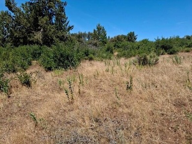 Beautiful .77-acre lot in the Running Y Ranch Resort with on Running Y Ranch Resort in Oregon - for sale on GolfHomes.com, golf home, golf lot