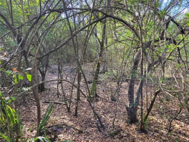 Here's your chance to own this just under 2 acres of land on on Wedgefield Golf Club in Florida - for sale on GolfHomes.com, golf home, golf lot