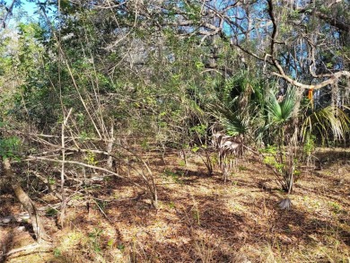 Here's your chance to own this just under 2 acres of land on on Wedgefield Golf Club in Florida - for sale on GolfHomes.com, golf home, golf lot