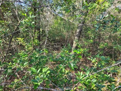 Here's your chance to own this just under 2 acres of land on on Wedgefield Golf Club in Florida - for sale on GolfHomes.com, golf home, golf lot