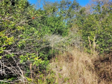 Here's your chance to own this just under 2 acres of land on on Wedgefield Golf Club in Florida - for sale on GolfHomes.com, golf home, golf lot