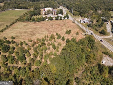 22.522 acres zoned C2 Commercial located on Highway 155 in Henry on Eagles Brooke Golf and Country Club in Georgia - for sale on GolfHomes.com, golf home, golf lot