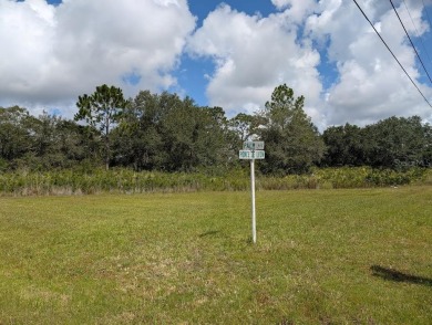 Come build your forever home on this beautiful 1.5 acre property on Indian Lake Estates Golf and Country Club in Florida - for sale on GolfHomes.com, golf home, golf lot