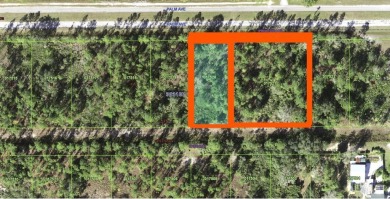 Come build your forever home on this beautiful 1.5 acre property on Indian Lake Estates Golf and Country Club in Florida - for sale on GolfHomes.com, golf home, golf lot