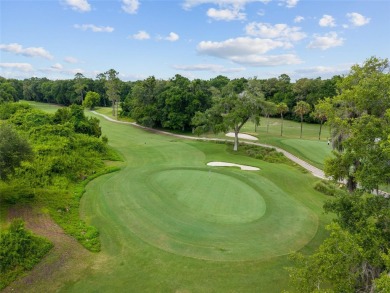 Welcome home to this move-in  ready, Jeffrey Wilde buint home on Haile Plantation Golf and Country Club in Florida - for sale on GolfHomes.com, golf home, golf lot