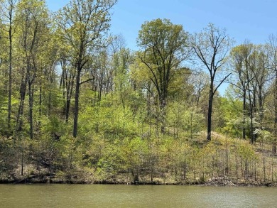 Lakefront lot on the peaceful shores of Lake Aztec in Cherokee on Cherokee Village South Course in Arkansas - for sale on GolfHomes.com, golf home, golf lot