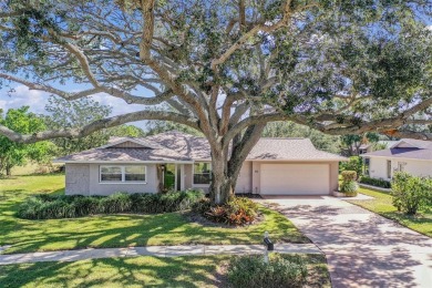 Under contract-accepting backup offers. Discover Your Sanctuary on Highland Lakes Executive Golf Course in Florida - for sale on GolfHomes.com, golf home, golf lot