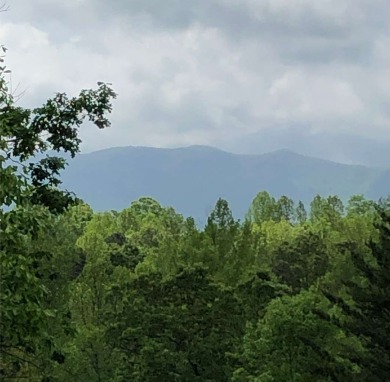 Priced to sell! Special pricing for 2 lots. Lot 6 & 8 now on Brasstown Valley Resort and Spa in Georgia - for sale on GolfHomes.com, golf home, golf lot