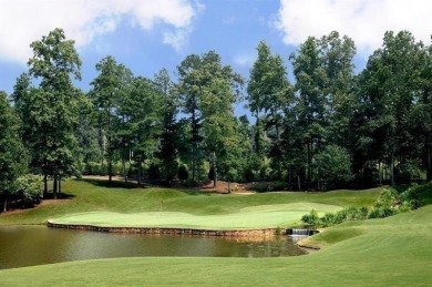 BEAUTIFUL LAKE AND GOLF COURSE HOMESITE WITH VIEW OF THE on Hawks Ridge Golf Club in Georgia - for sale on GolfHomes.com, golf home, golf lot