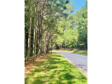 BEAUTIFUL LAKE AND GOLF COURSE HOMESITE WITH VIEW OF THE on Hawks Ridge Golf Club in Georgia - for sale on GolfHomes.com, golf home, golf lot