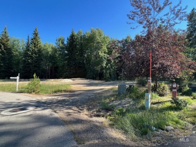 Gorgeous building lot that backs to Cedar #1 Tee Box and Driving on McCall Municipal Golf Course in Idaho - for sale on GolfHomes.com, golf home, golf lot