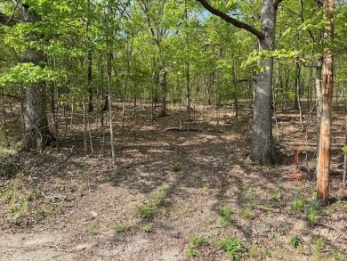 Don't miss your chance to see this wonderful upsloping lot in on Holiday Island Executive Golf Course in Arkansas - for sale on GolfHomes.com, golf home, golf lot