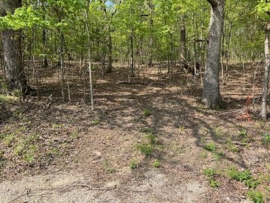 Don't miss your chance to see this wonderful upsloping lot in on Holiday Island Executive Golf Course in Arkansas - for sale on GolfHomes.com, golf home, golf lot