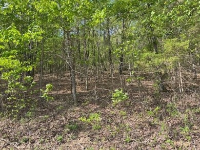 Don't miss your chance to see this wonderful upsloping lot in on Holiday Island Executive Golf Course in Arkansas - for sale on GolfHomes.com, golf home, golf lot