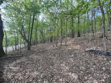 Don't miss your chance to see this wonderful upsloping lot in on Holiday Island Executive Golf Course in Arkansas - for sale on GolfHomes.com, golf home, golf lot