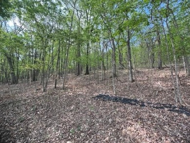 Don't miss your chance to see this wonderful upsloping lot in on Holiday Island Executive Golf Course in Arkansas - for sale on GolfHomes.com, golf home, golf lot