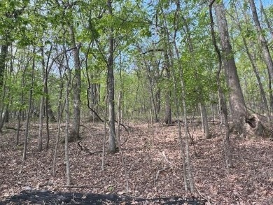 Don't miss your chance to see this wonderful upsloping lot in on Holiday Island Executive Golf Course in Arkansas - for sale on GolfHomes.com, golf home, golf lot