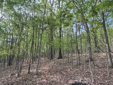 Don't miss your chance to see this wonderful upsloping lot in on Holiday Island Executive Golf Course in Arkansas - for sale on GolfHomes.com, golf home, golf lot