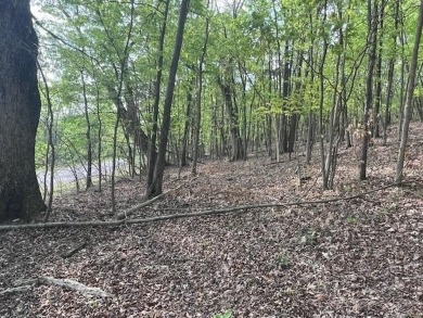 Don't miss your chance to see this wonderful upsloping lot in on Holiday Island Executive Golf Course in Arkansas - for sale on GolfHomes.com, golf home, golf lot