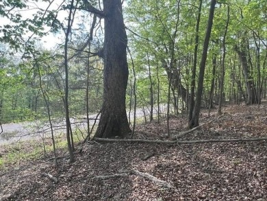 Don't miss your chance to see this wonderful upsloping lot in on Holiday Island Executive Golf Course in Arkansas - for sale on GolfHomes.com, golf home, golf lot
