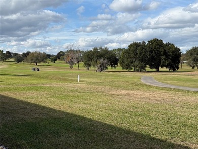 Upgraded 2/2 Palm Golf Course Home Located in Eagle Ridge home on Eagle Ridge At Spruce Creek Country Club in Florida - for sale on GolfHomes.com, golf home, golf lot
