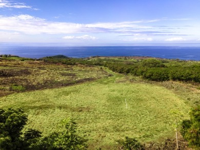 Motivated on Club At Hokulia in Hawaii - for sale on GolfHomes.com, golf home, golf lot