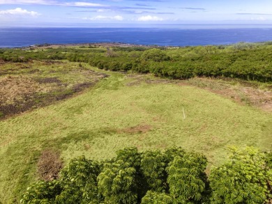 Motivated on Club At Hokulia in Hawaii - for sale on GolfHomes.com, golf home, golf lot