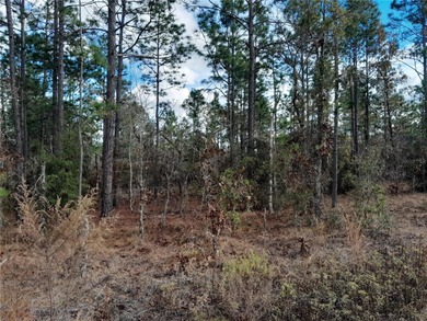 SURVEYED, HIGH AND DRY .23 ACRE BUILDING LOT IN WILLISTON on Williston Highlands Golf and Country Club in Florida - for sale on GolfHomes.com, golf home, golf lot
