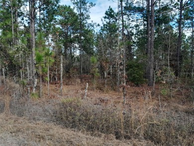 SURVEYED, HIGH AND DRY .23 ACRE BUILDING LOT IN WILLISTON on Williston Highlands Golf and Country Club in Florida - for sale on GolfHomes.com, golf home, golf lot