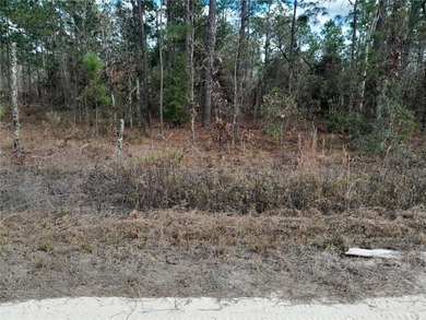 SURVEYED, HIGH AND DRY .23 ACRE BUILDING LOT IN WILLISTON on Williston Highlands Golf and Country Club in Florida - for sale on GolfHomes.com, golf home, golf lot