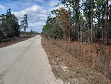 SURVEYED, HIGH AND DRY .23 ACRE BUILDING LOT IN WILLISTON on Williston Highlands Golf and Country Club in Florida - for sale on GolfHomes.com, golf home, golf lot