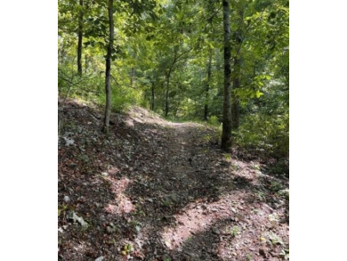 245 feet of Lake Windsor shoreline, 1.91 acres, & only minutes on Bella Vista Country Club - Berksdale in Arkansas - for sale on GolfHomes.com, golf home, golf lot