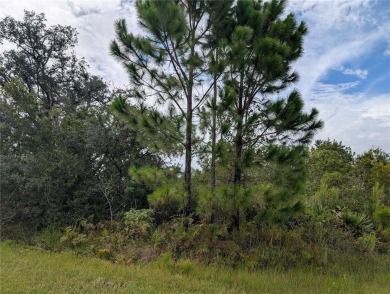 Come build your forever home on this one-half acre corner lot on Indian Lake Estates Golf and Country Club in Florida - for sale on GolfHomes.com, golf home, golf lot