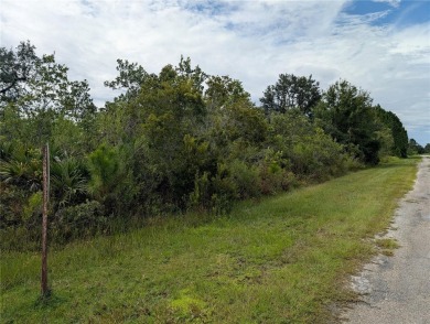 Come build your forever home on this one-half acre corner lot on Indian Lake Estates Golf and Country Club in Florida - for sale on GolfHomes.com, golf home, golf lot