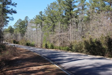 Discover Your Dream Homesite in Cedar Creek!  This expansive 0 on The Golf Club At Cedar Creek in South Carolina - for sale on GolfHomes.com, golf home, golf lot