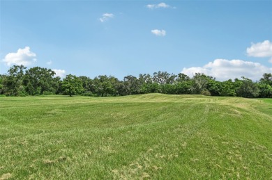 One or more photo(s) has been virtually staged. Photos don't do on Kings Point Executive Golf Course in Florida - for sale on GolfHomes.com, golf home, golf lot