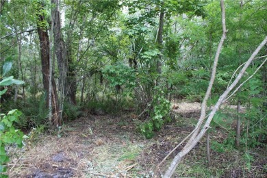 Beautiful 1.43 Acres of land, plenty of space to build your on Seven Rivers Golf and Country Club in Florida - for sale on GolfHomes.com, golf home, golf lot