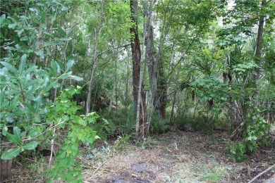Beautiful 1.43 Acres of land, plenty of space to build your on Seven Rivers Golf and Country Club in Florida - for sale on GolfHomes.com, golf home, golf lot